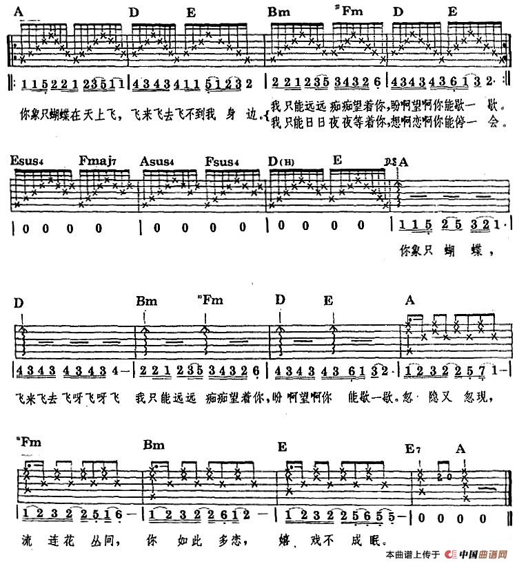 民族吉他弹唱:美丽的花蝴蝶简谱张洪量 第2页