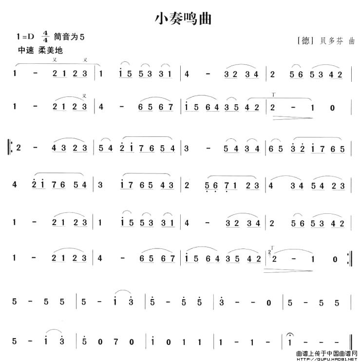 小奏鸣曲简谱贝多芬 第1页